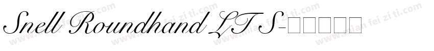 Snell Roundhand LT S字体转换